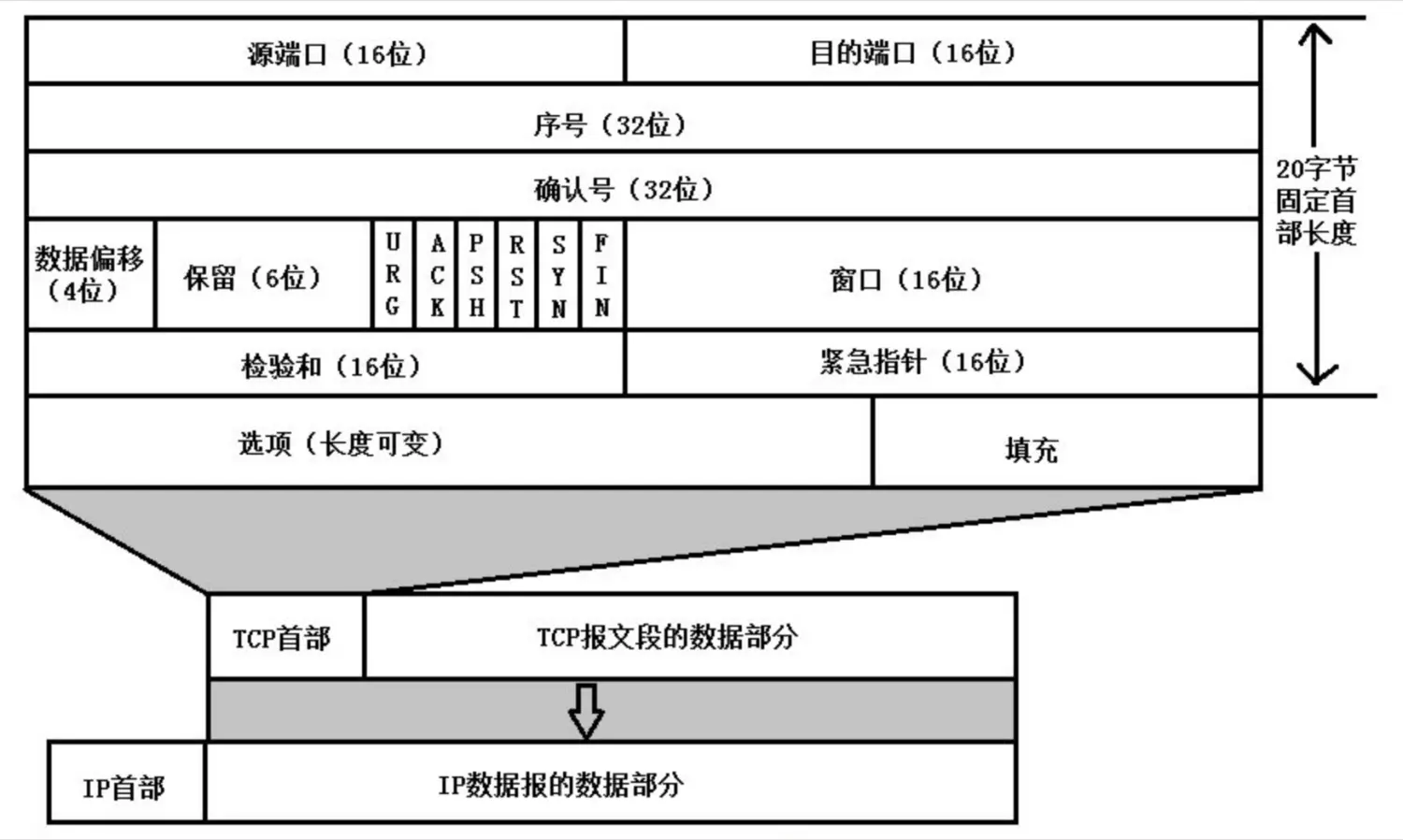 TCP报文段
