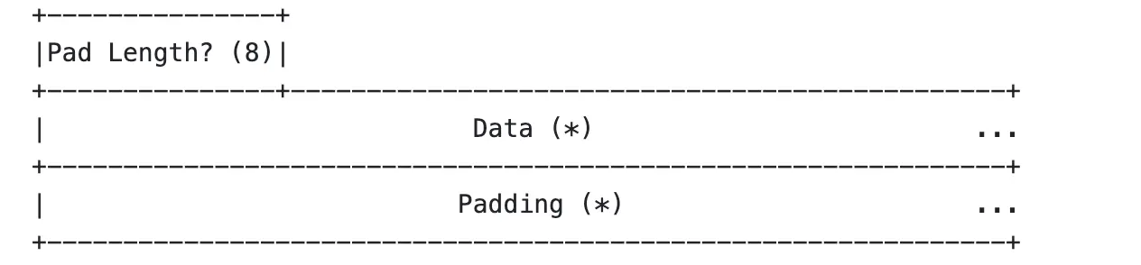 DATA Frame Payload